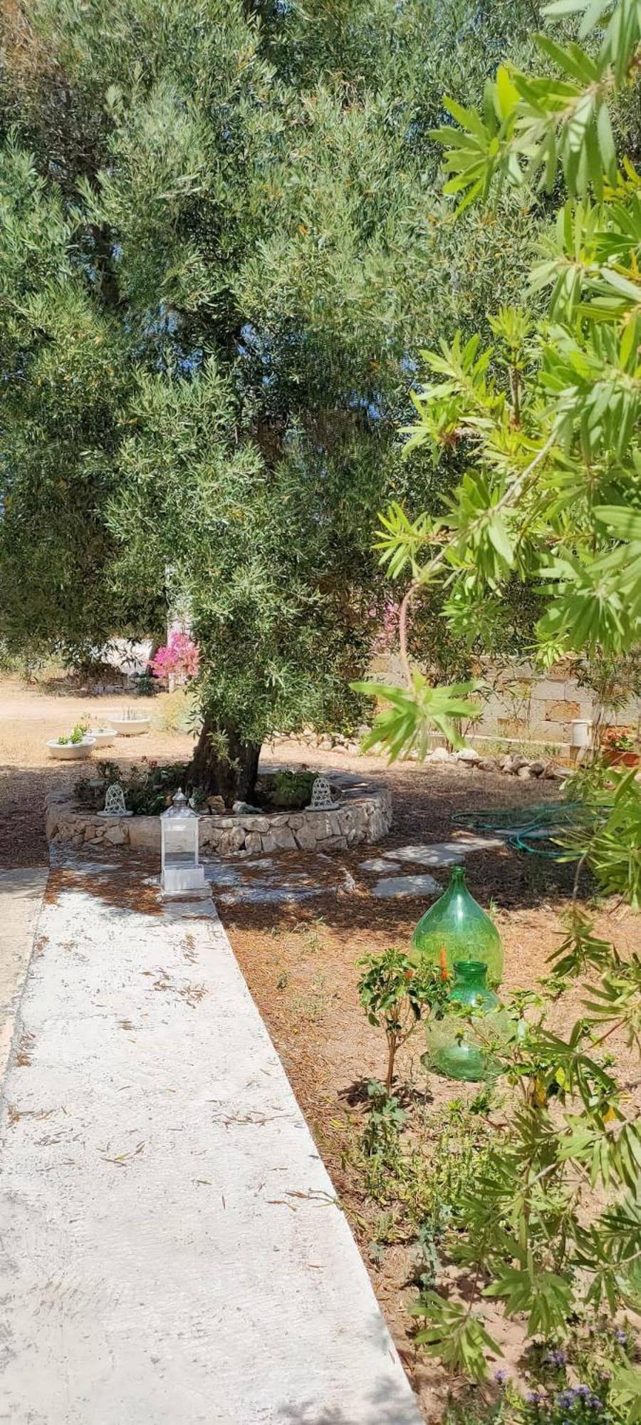 Trullo Alessandro E Villa Raffaela San Vito dei Normanni Room photo